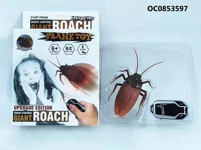 RC roach