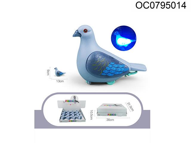 Pull Line Pigeon with (12pcs/box)